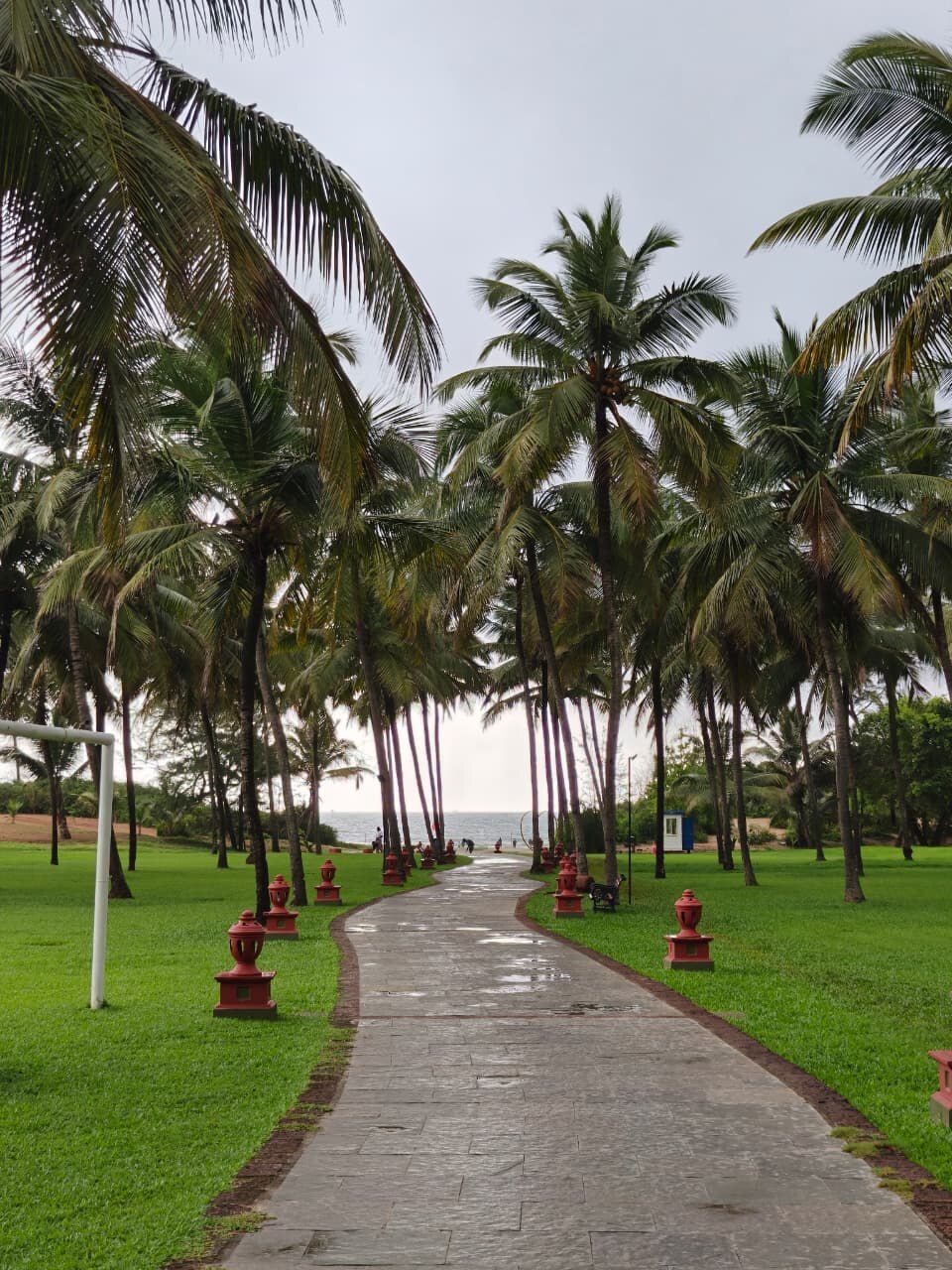 Palm-lined path from Novotel Goa Dona Sylvia towards the beach
