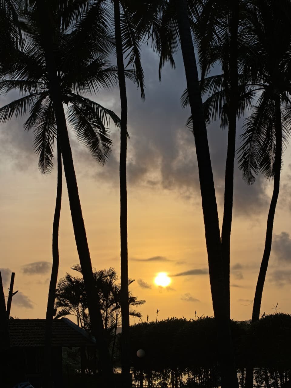 Goa on Points: 46,000 Points, 8 Nights, 3 Hotels (and what Accor Platinum actually gets you)