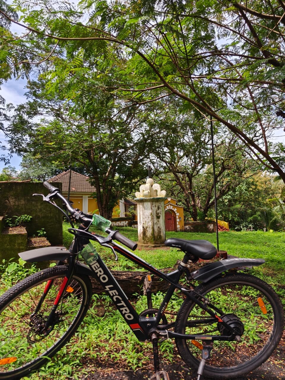 Bicycle by a tree-lined path at Mercure Goa Devaaya