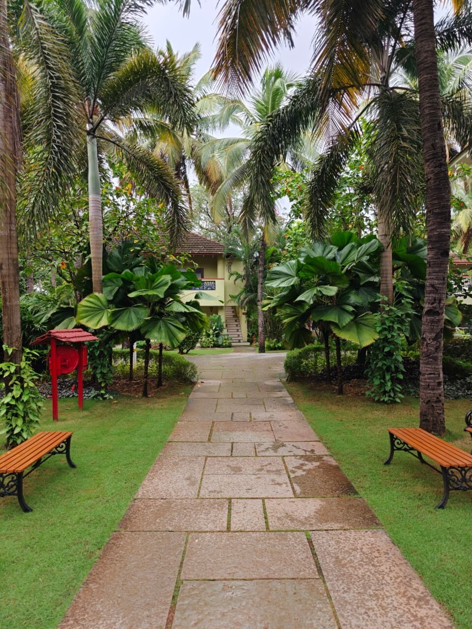 Garden walkway through palms at Dona Sylvia