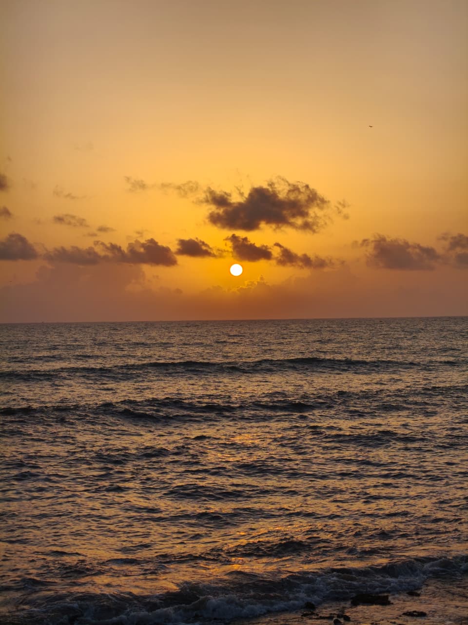 Goa sea at sunset